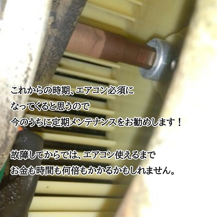 画像1267