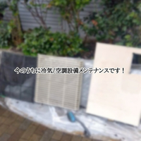 画像1268