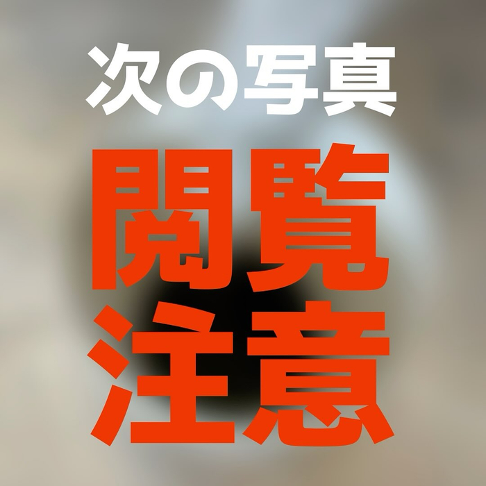 画像1435