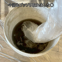 画像1467
