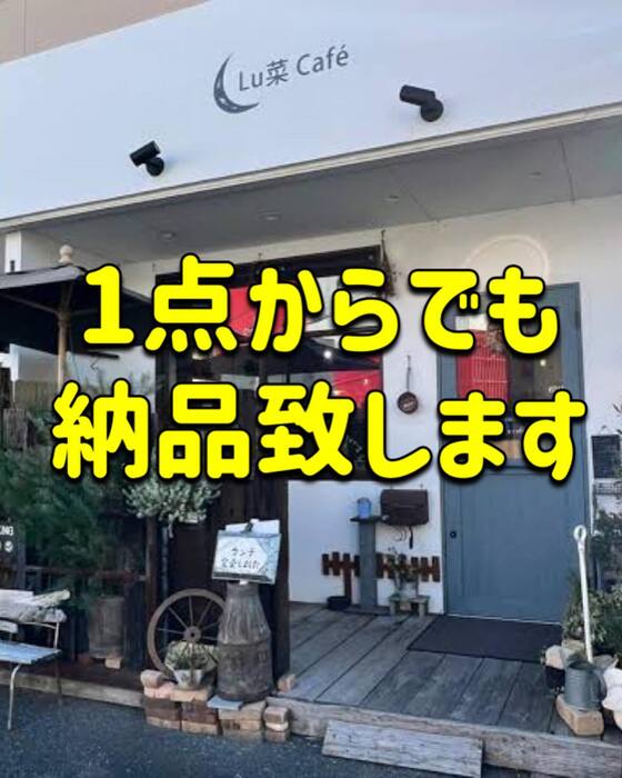 画像445