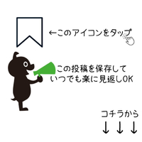 画像498